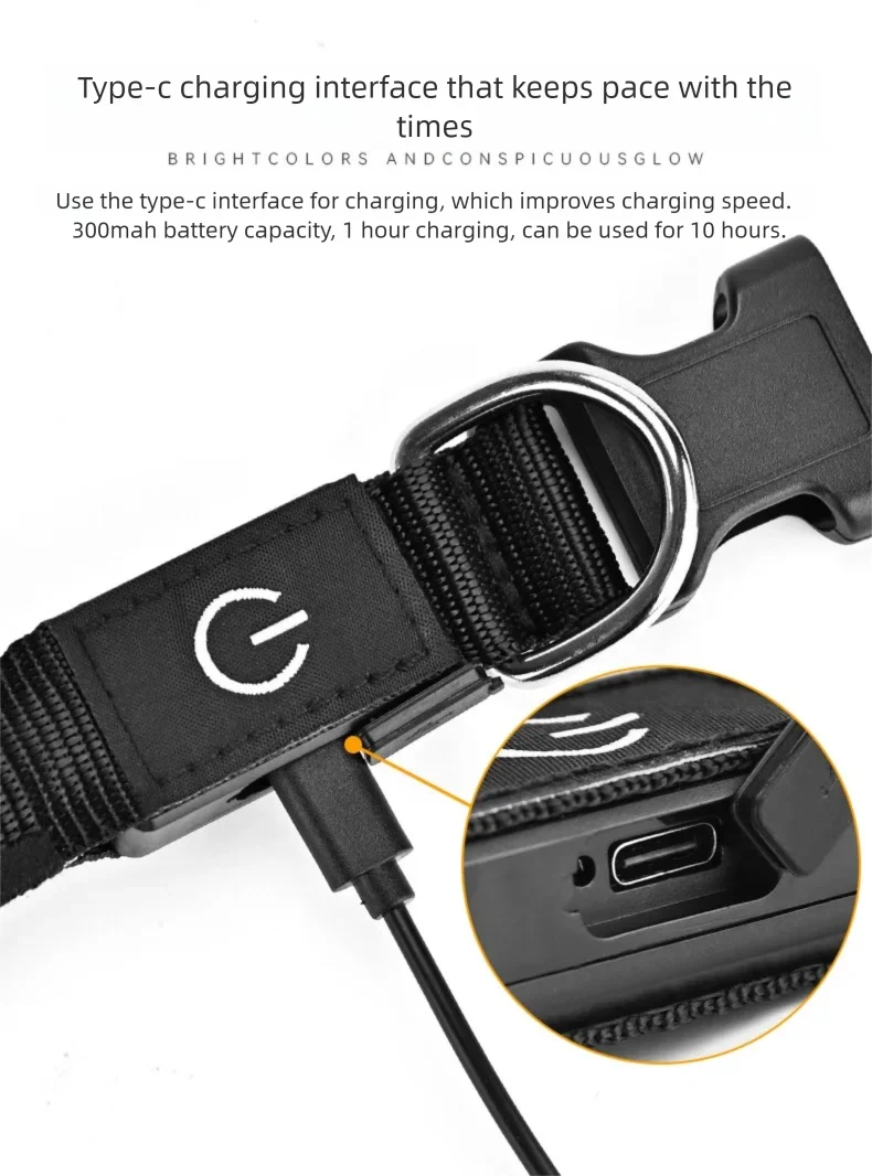 Collar LED Recargable para Perro
