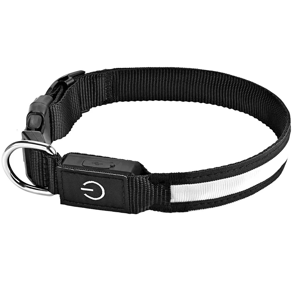 Collar LED Recargable para Perro