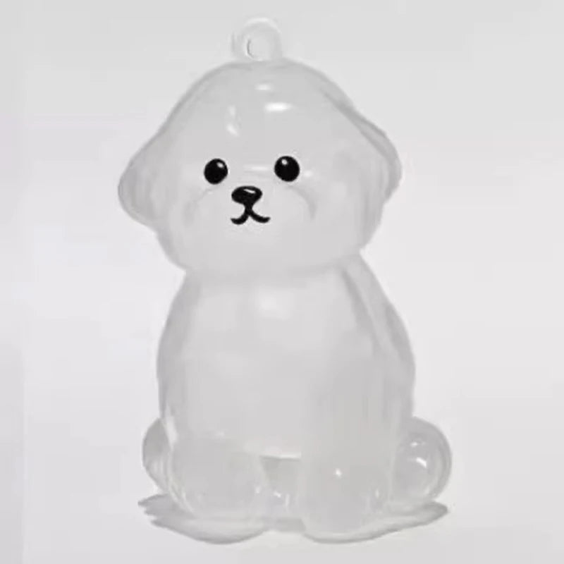 Llavero Memorial Transparente para Pelo de Mascota