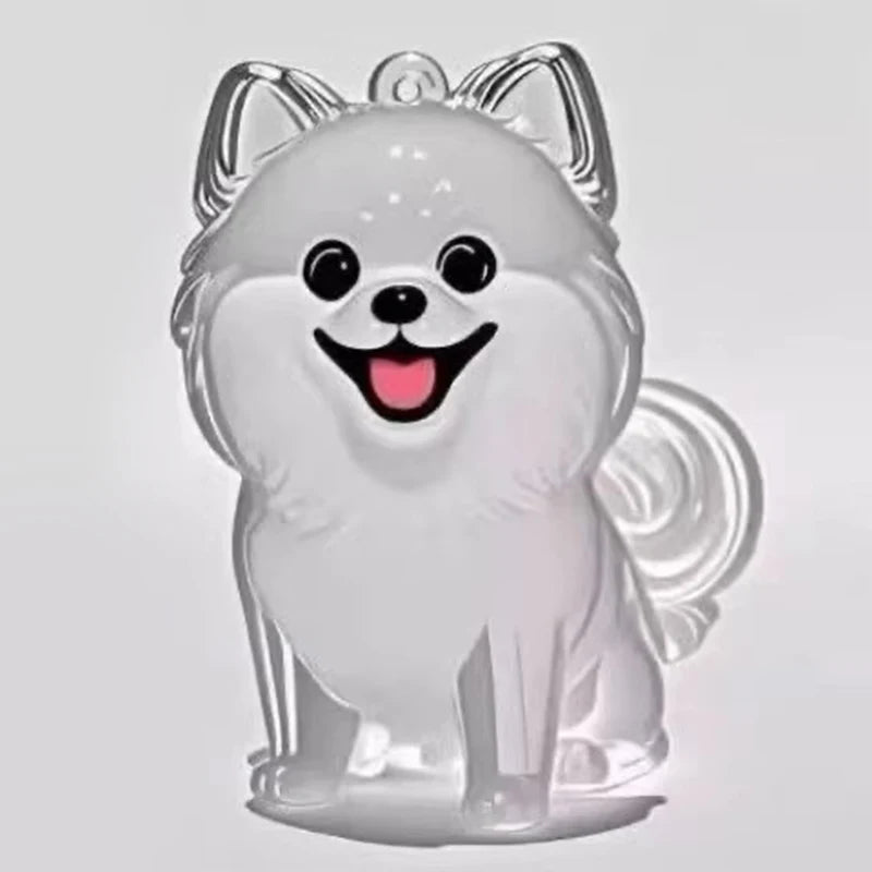 Llavero Memorial Transparente para Pelo de Mascota