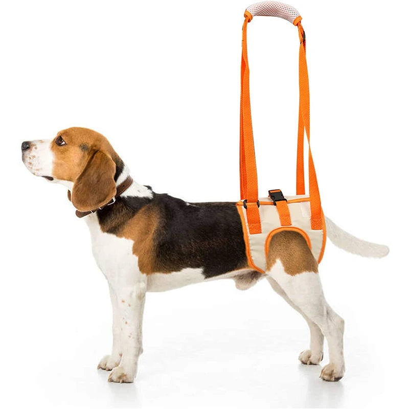 Arnés de Apoyo y Movilidad para Perros Mayores
